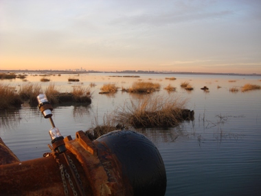 Jamaica Bay marshesW