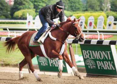 Stage set for Triple Crown at Belmont Stakes