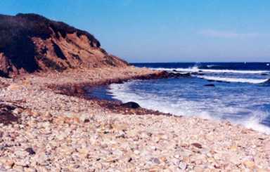 Montauk’s Camp Hero State Park