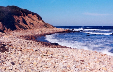 Montauk’s Camp Hero State Park