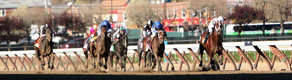 State wants overhaul in vet practices at Aqueduct