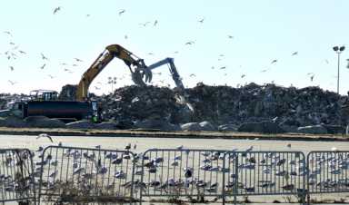 Sanitation first on scene after Sandy hits Queens