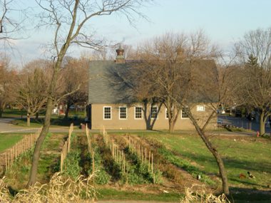 Farm-3w