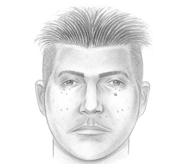 1223-13 Sexual Assault 110 Pct Sketch