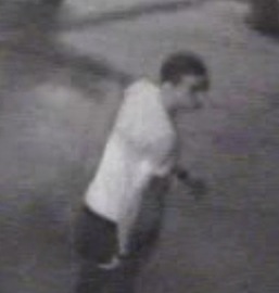 1622-13 ARSON 108PCT 8-18-13 (1)