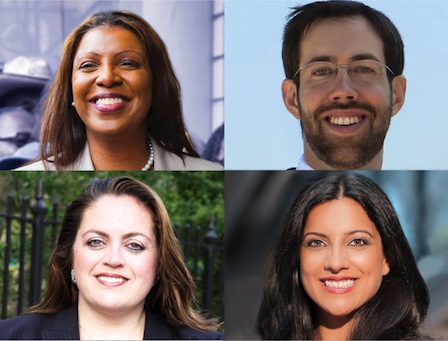 public advocate primary