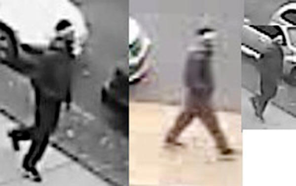 Man attacks Fresh Meadows woman [With Video]