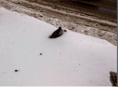 Buried hydrant