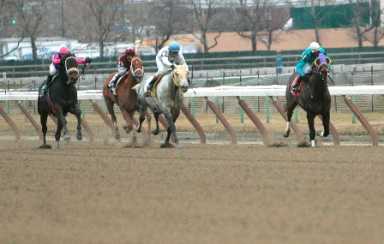 more aqueduct15