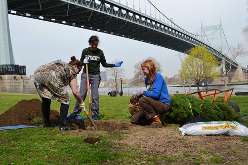 Astoria Park Trees