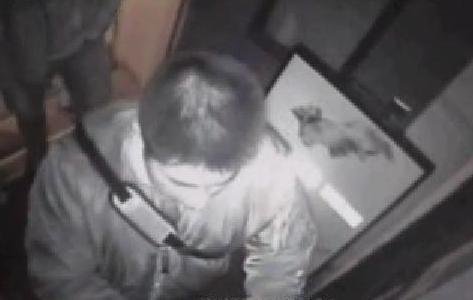 suspects