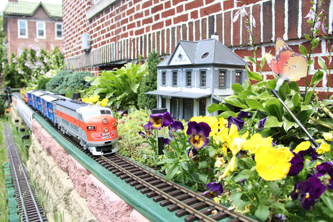 TRAIN-PICTURE