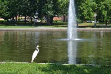 BOWNE PARK