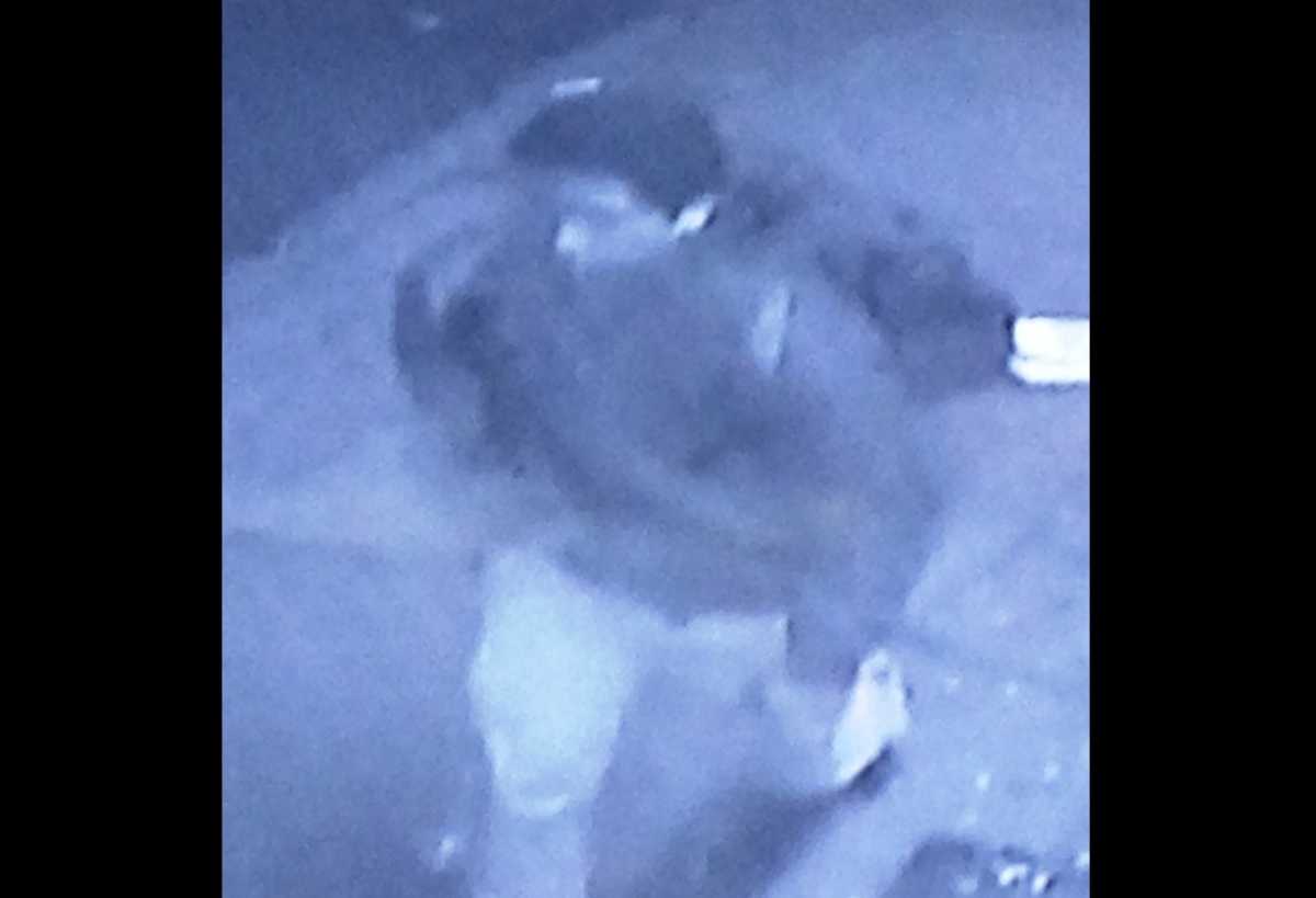 attempted rape