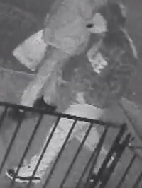 1200-15 110 Pct Assault 5-24-15 pic