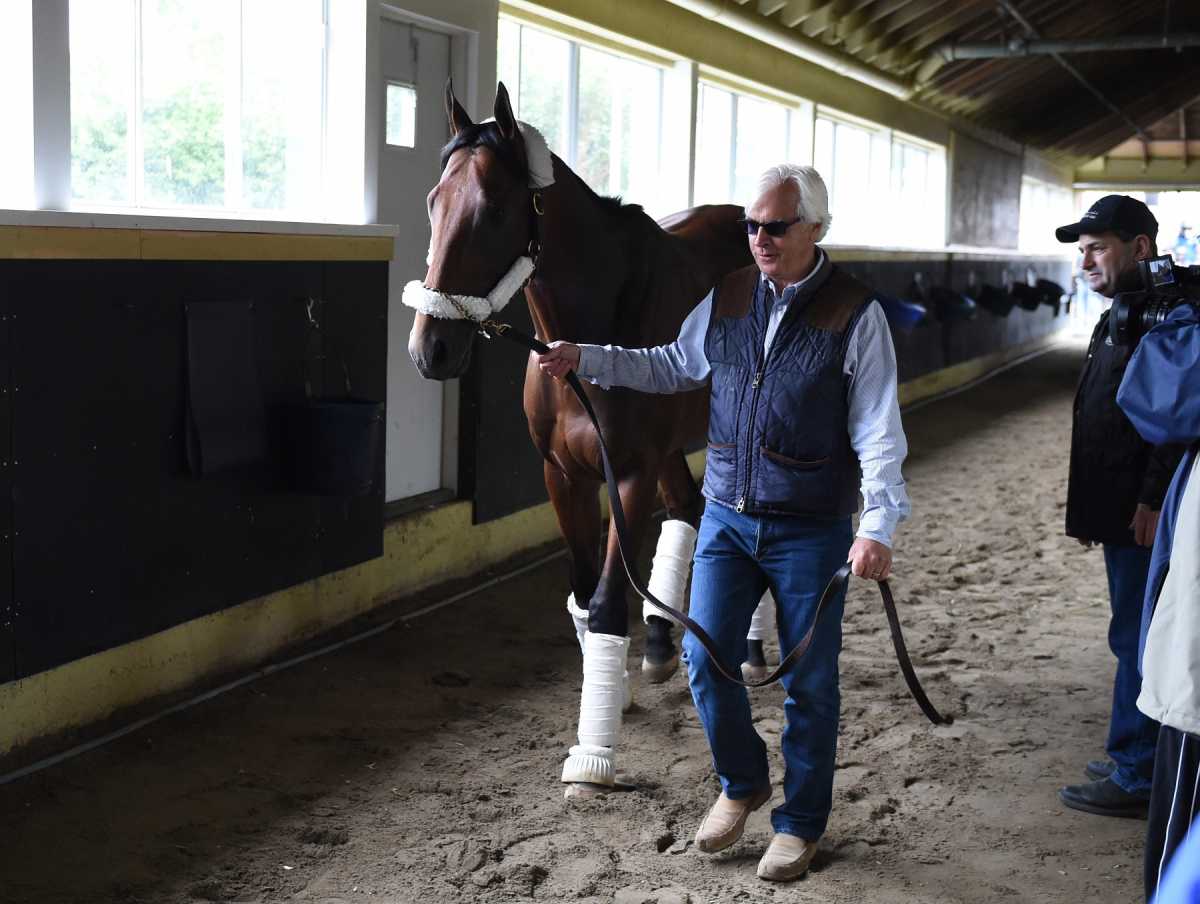 American Pharoah Arrival11