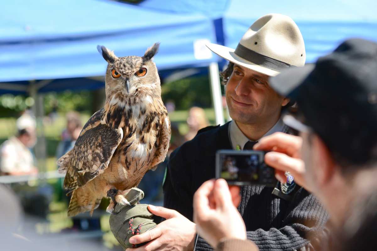 DA4_0492_10-05-14 Raptor Fest