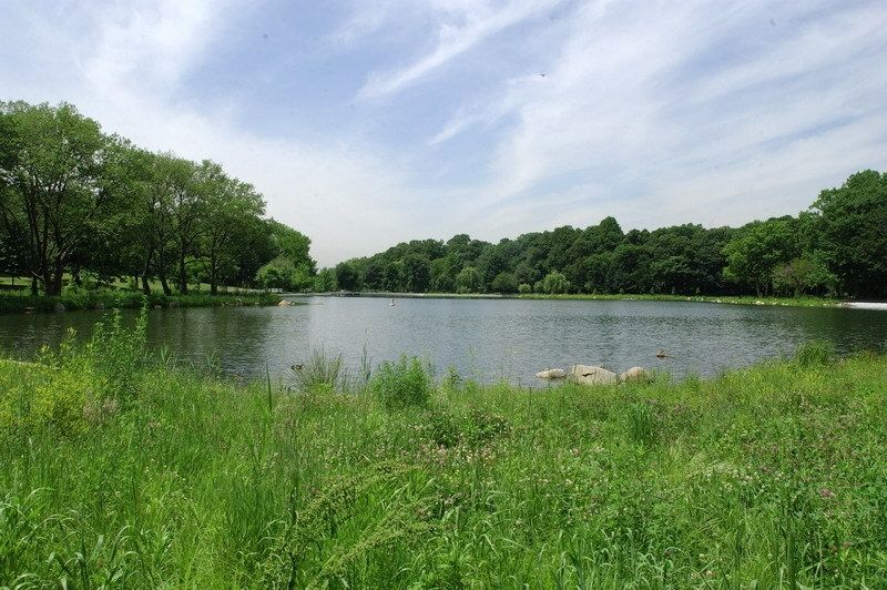Kissena Lake