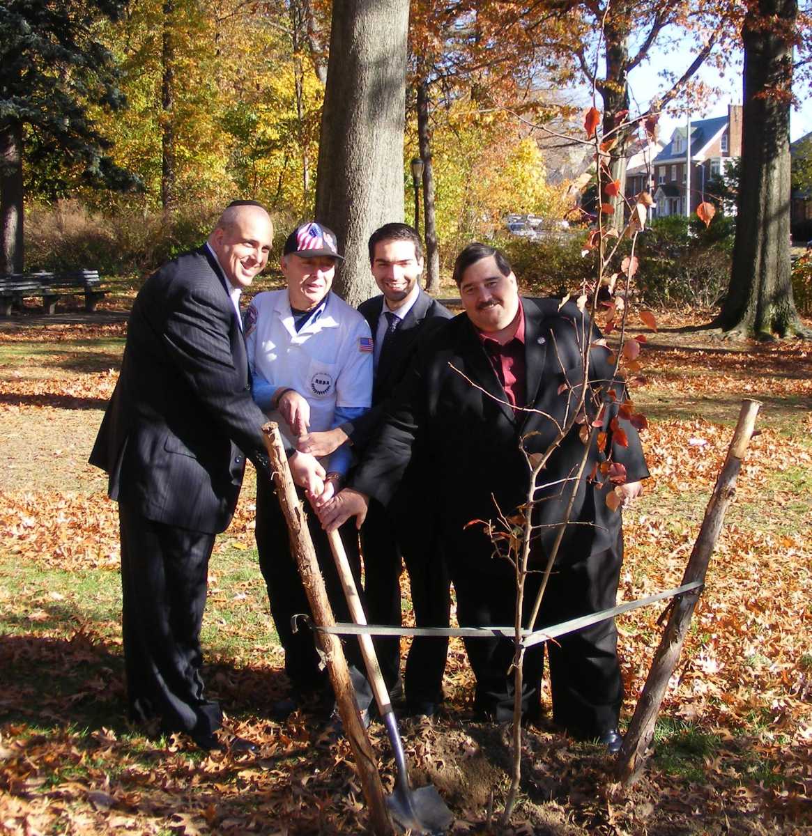 ForestPark_SurvivorTree