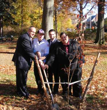 ForestPark_SurvivorTree