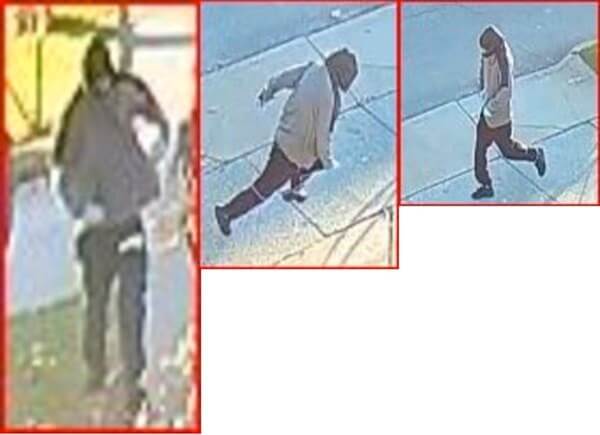 Female exchange student slashed in Whitestone: NYPD