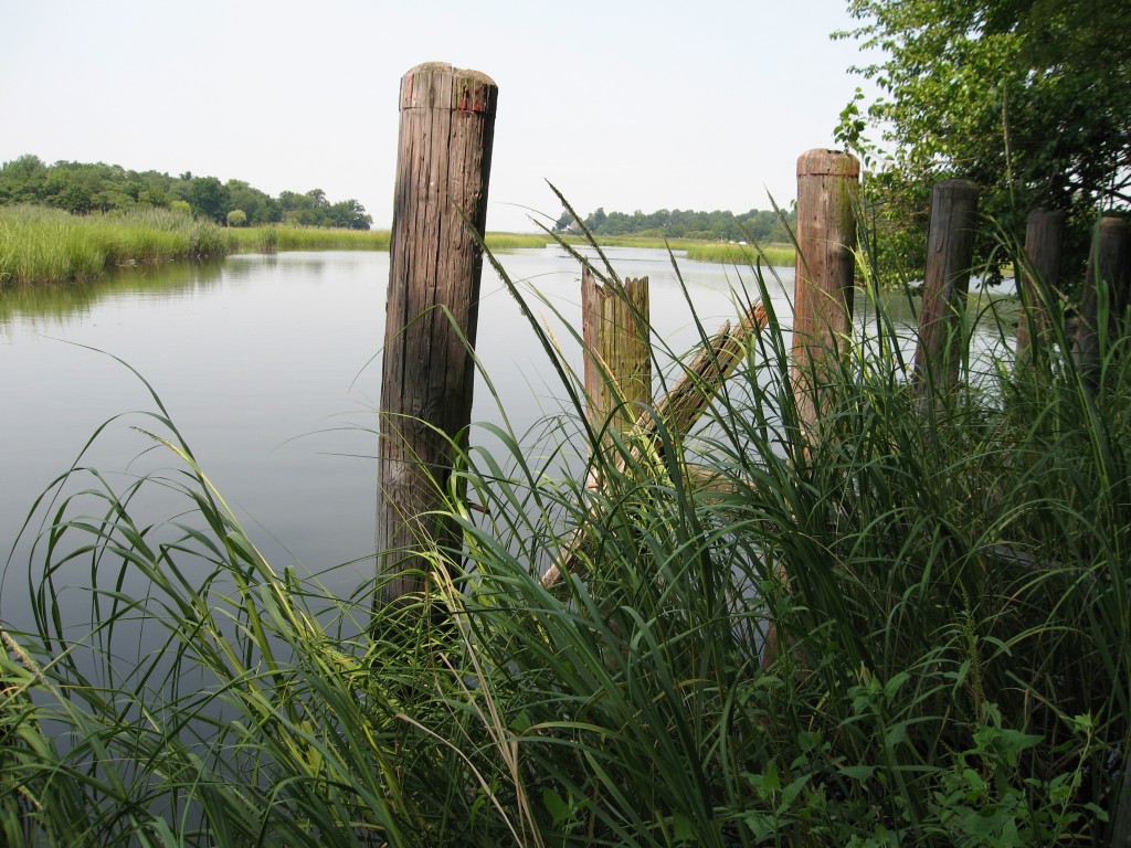 UDALLS COVE
