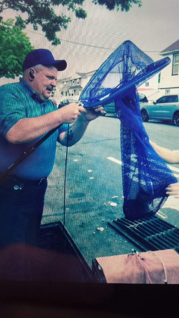 Rescue officer from AC&C Kevin Sexton fishing the kitty out.
