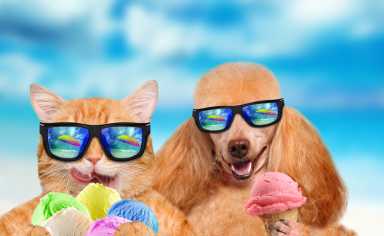 shutterstock_427319869