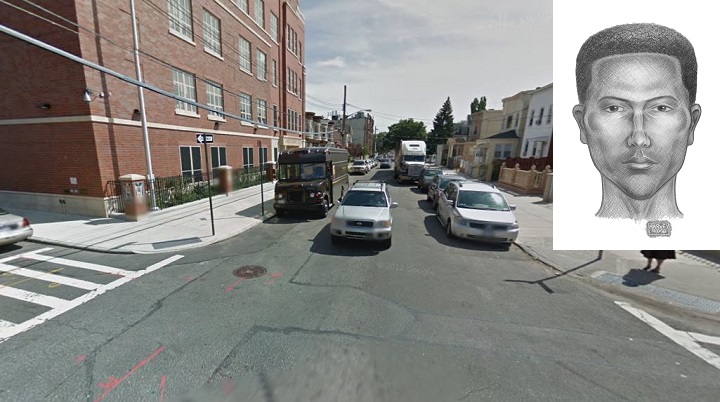 102ndstreet-childsnatching-080116