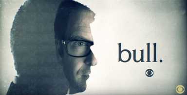 Bull screenshot