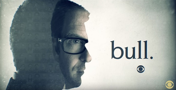 Bull screenshot