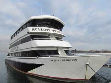 Elmurst man dies after jumping off cruise ship: Witnesses