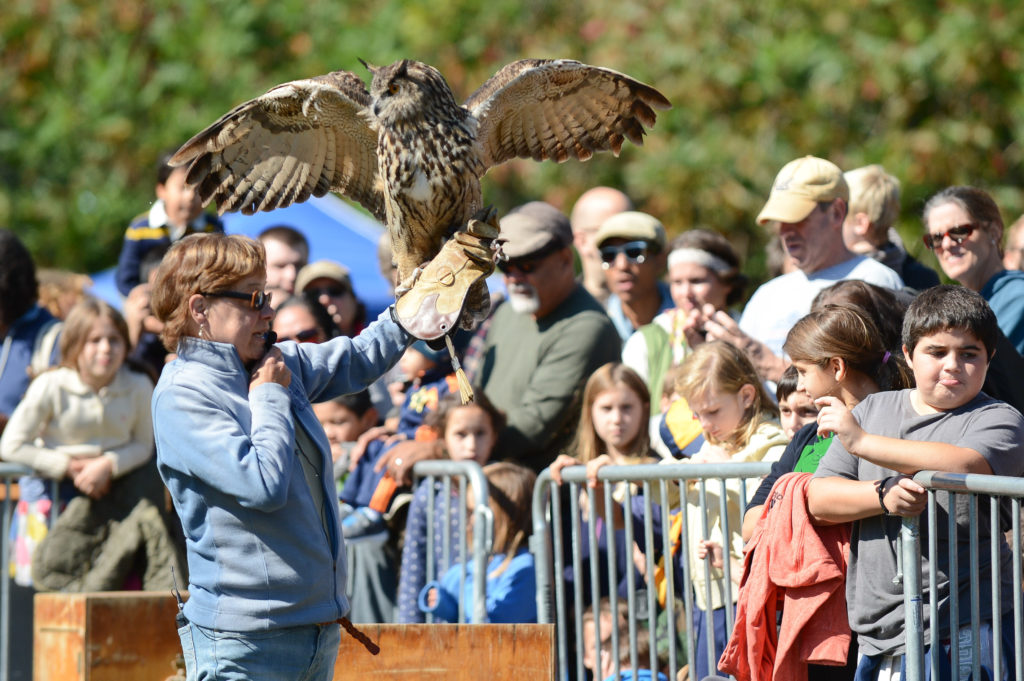 da4_0527_10-05-14-raptor-fest