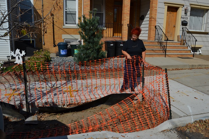 maspeth-bioswale-web
