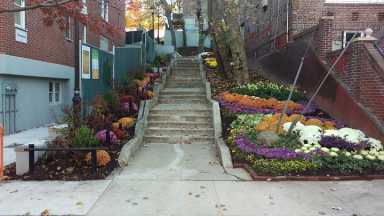 step-street-after-web