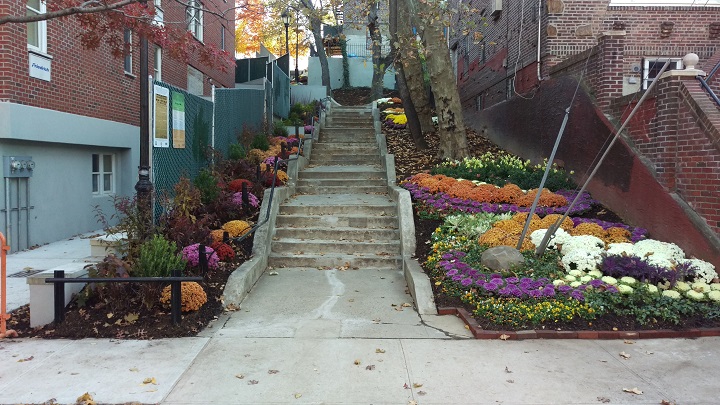 step-street-after-web