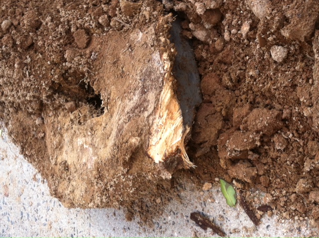 photo5