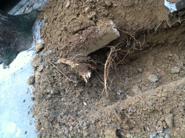 photo8
