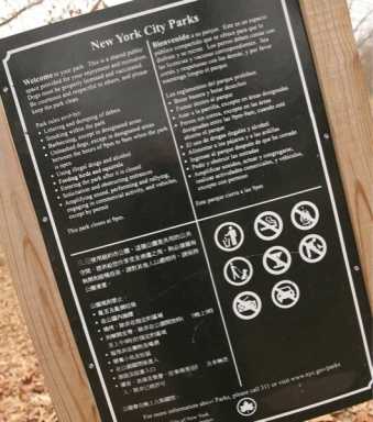 Endangered language group maps polyglot Queens