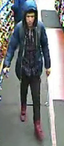 Man steals wallet and cell phone from sleeping F train rider: NYPD