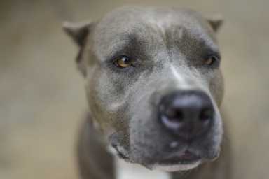 shutterstock_177942563