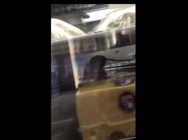 A rodent was captured on video crawling around food at Bagel Oasis in Fresh Meadows last week.