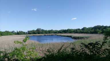 Ridgewood
