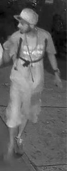 Cops seek two grand larceny suspects