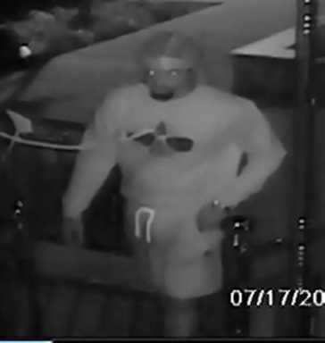 iPhone stolen from open window in South Ozone Park