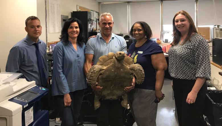tortoise found 2