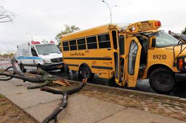 Tree bus03