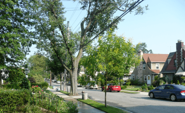Little Neck
