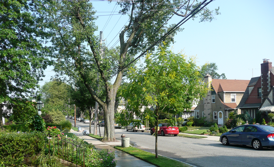 Little Neck