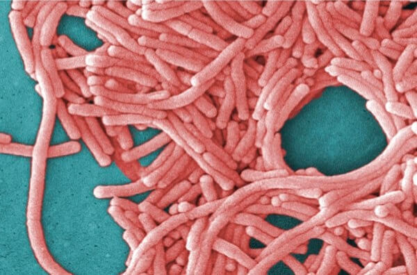 DOH Commissioner holds community meeting to give updates on Legionnaires’